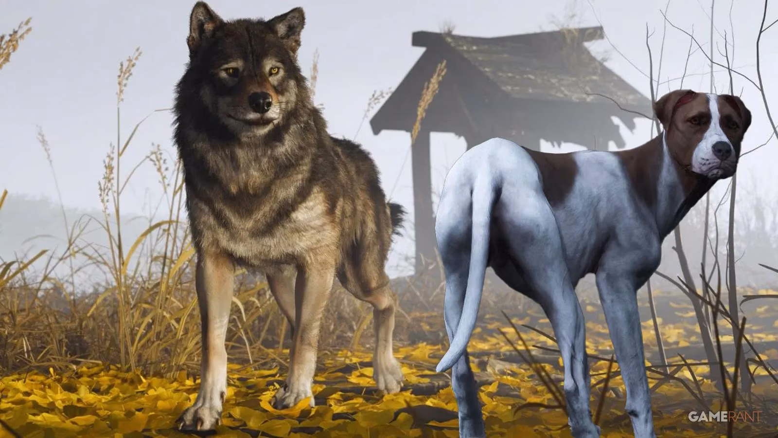 ghost-of-yotei-s-wolf-companion-could-revolutionize-hunting-inspired-by-kingdom-come-2-s-mutt-image-0